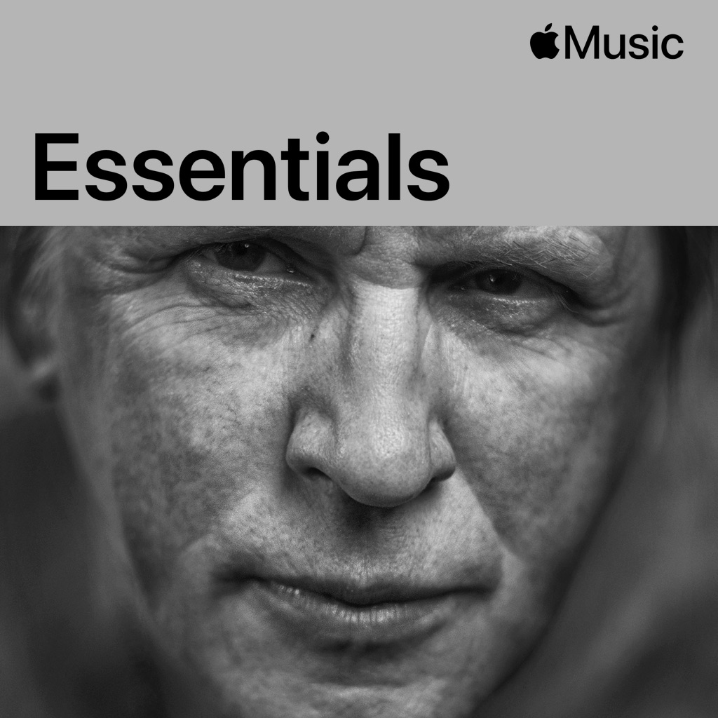 Auktyon Essentials