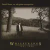 David Nevue - Voice In the Wilderness