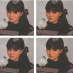 Yin Shia