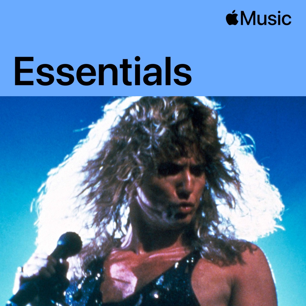 Whitesnake Essentials