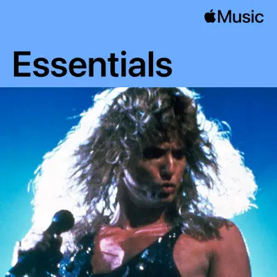 Whitesnake Essentials