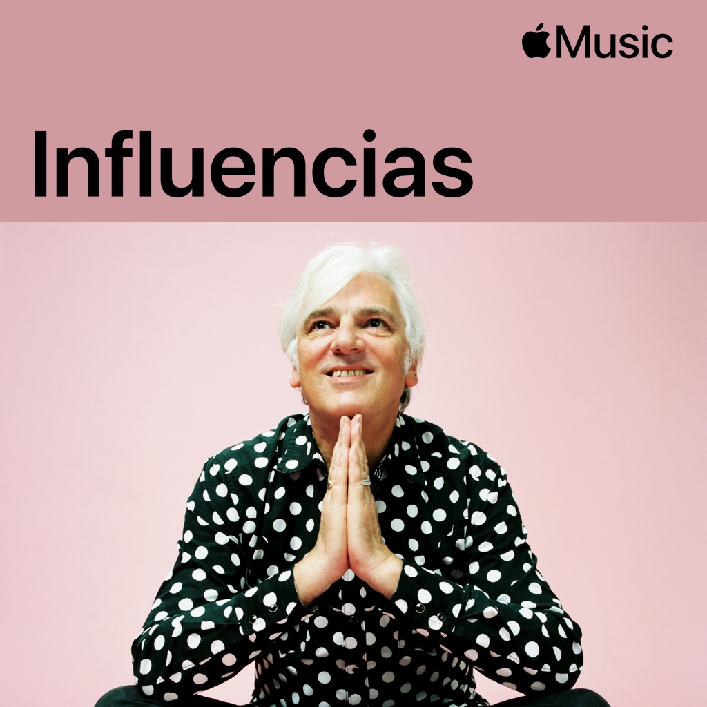 Robyn Hitchcock: influencias