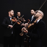 The Fretless