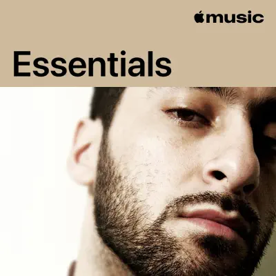 Hör dir Armand Van Helden Essentials mit Various Artists an