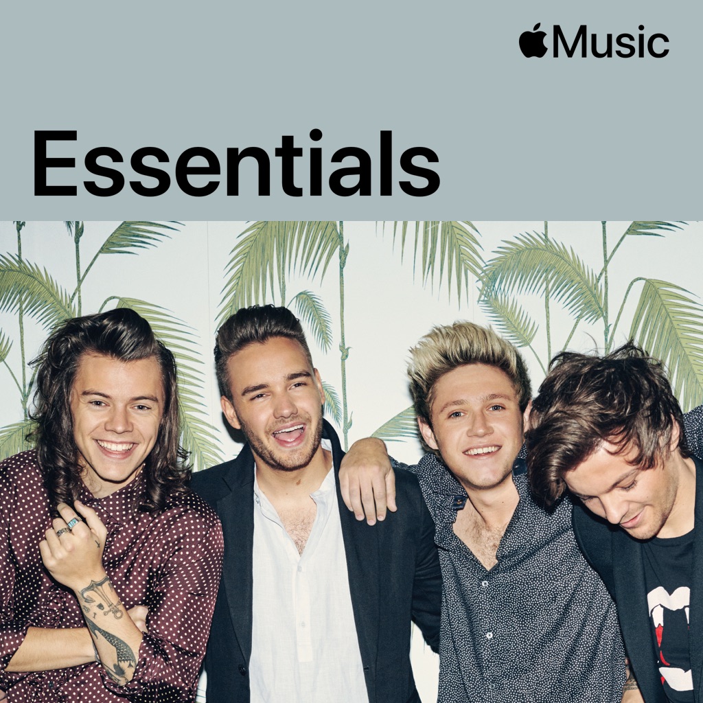 One Direction Essentials