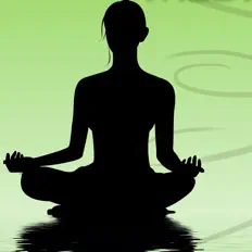 Yoga Waheguruを聴いたり、ミュージックビデオを鑑賞したり、経歴やツアー日程などを確認したりしましょう！