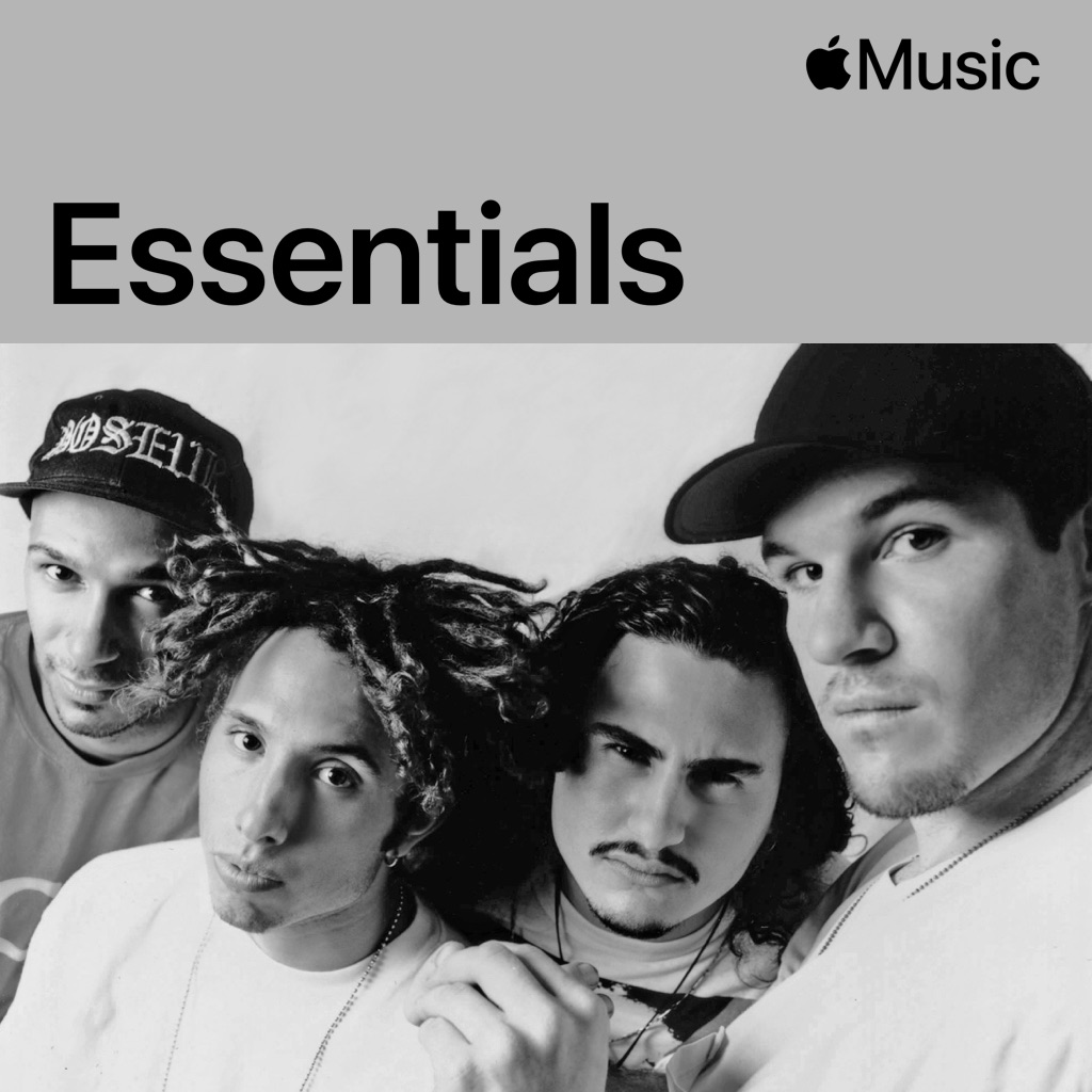 Rage Against the Machine Essentials