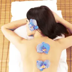 Ouça Spa Music Relaxation Therapy, assista a videoclipes, leia a biografia, veja as datas das turnês e mais!
