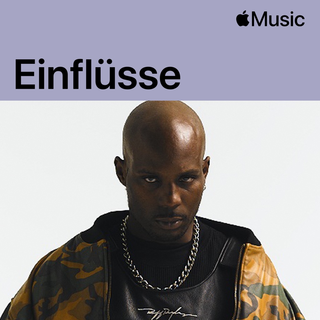 DMX: Einflüsse