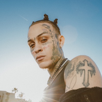 Dengarkan Lil Skies, tonton video musik, baca bio, lihat tanggal tur & lainnya!