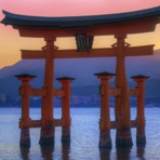 Reiki Tribe