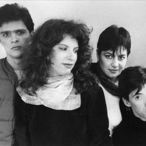 Martha & The Muffins