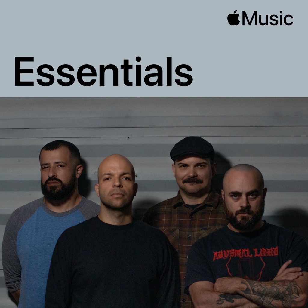 Torche Essentials