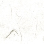 Gong Yi