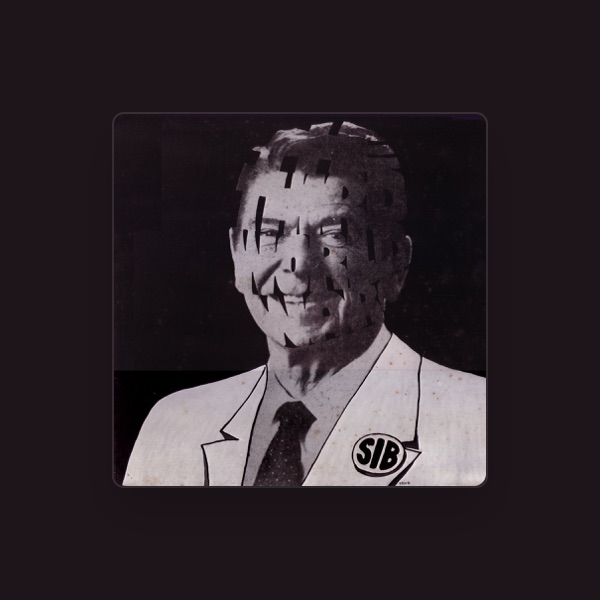 S.I.B.'s avatar