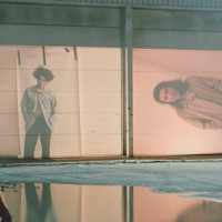 Lewis Del Mar