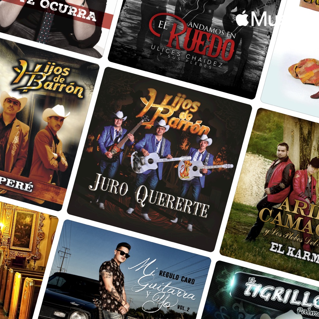 Puro Requinto