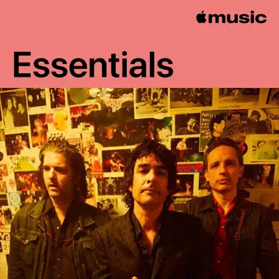 Ouve The Jon Spencer Blues Explosion Essentials com a participação de The Jon Spencer Blues Explosion