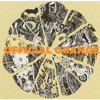Official Orange - Hachi