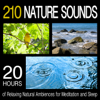 Water Washing Over Pebbles on the Shore - Pro Sound Effects Library