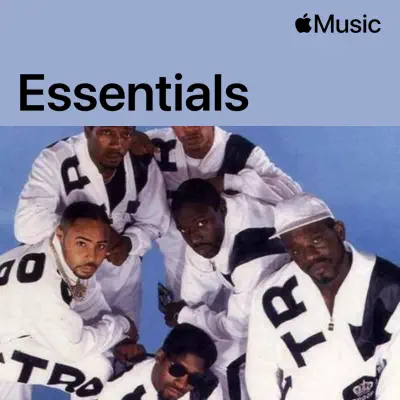 Stetsasonic Essentials