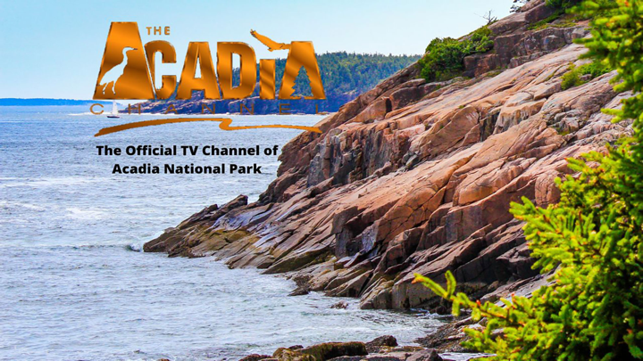 Screenshot #1 pour Acadia Channel TV