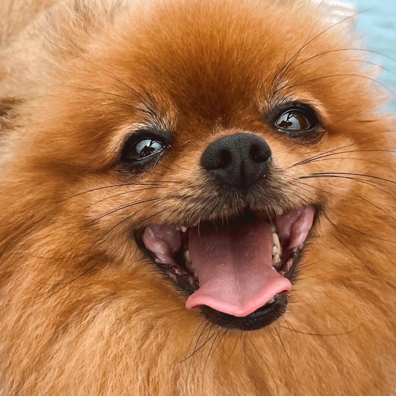 Buscándote - Mike Bahía