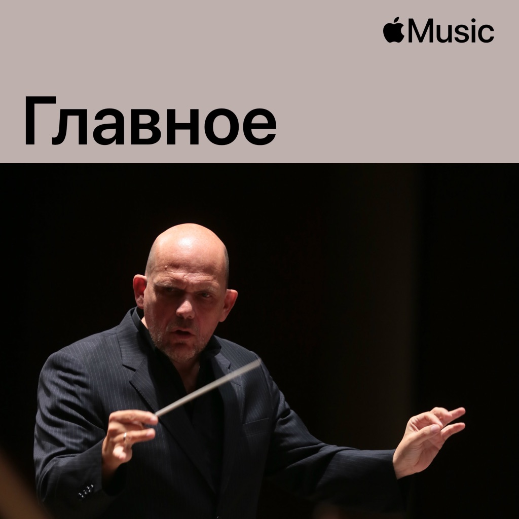 Яп ван Зведен: главное