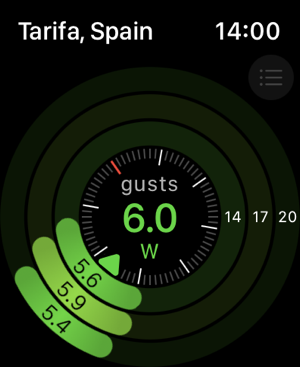 ‎Windy.app - wind & weather Screenshot