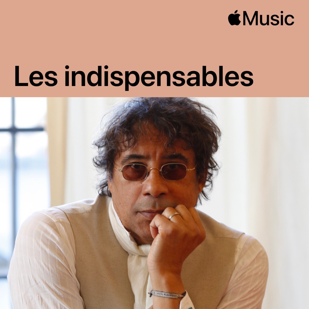 Laurent Voulzy : les indispensables