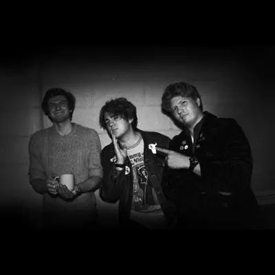 Listen to The Permians, watch music videos, read bio, see tour dates & more!