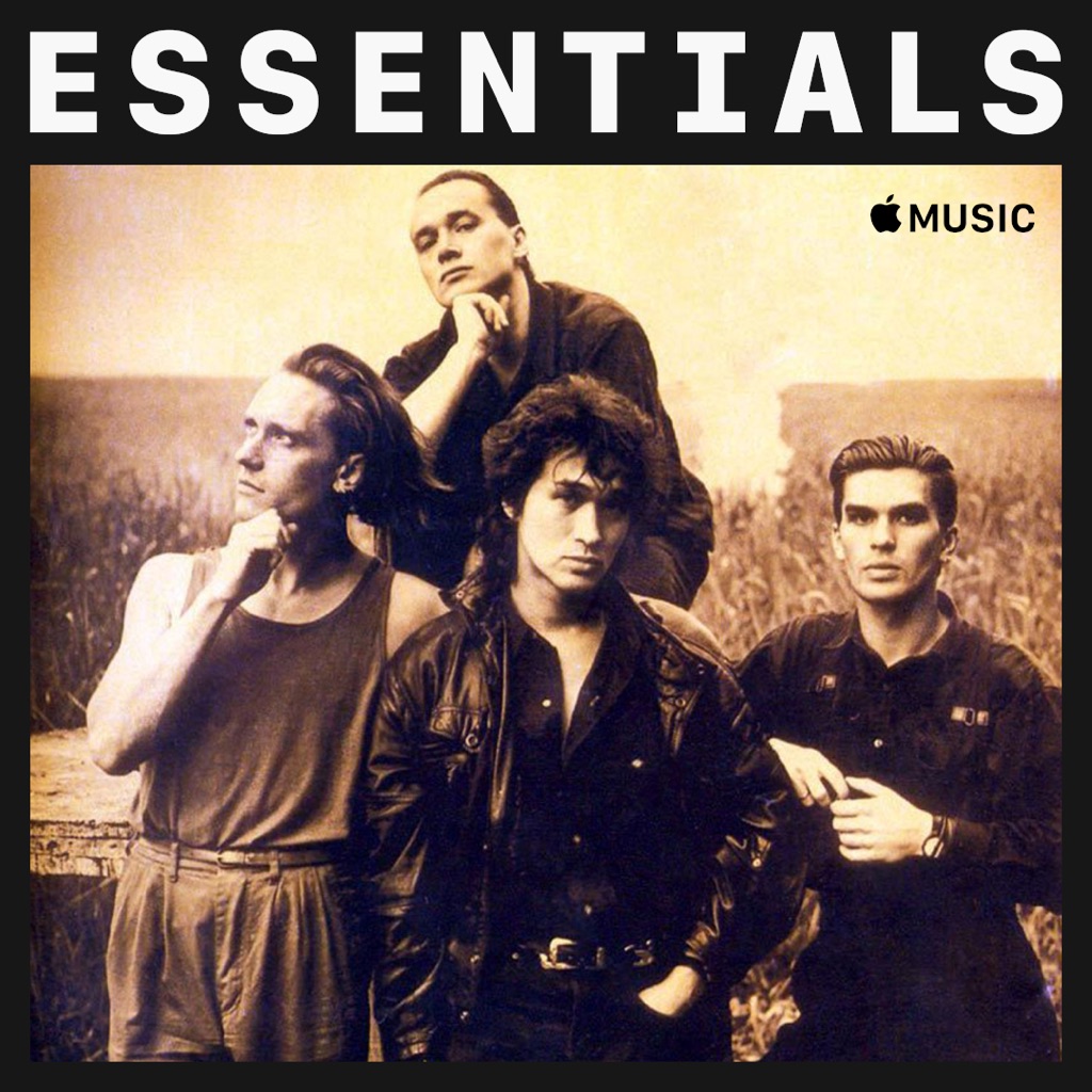 Kino Essentials