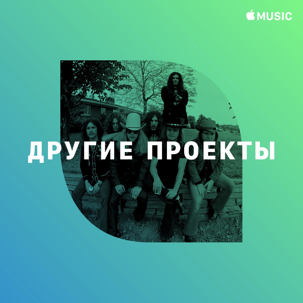 Lynyrd Skynyrd: другие проекты