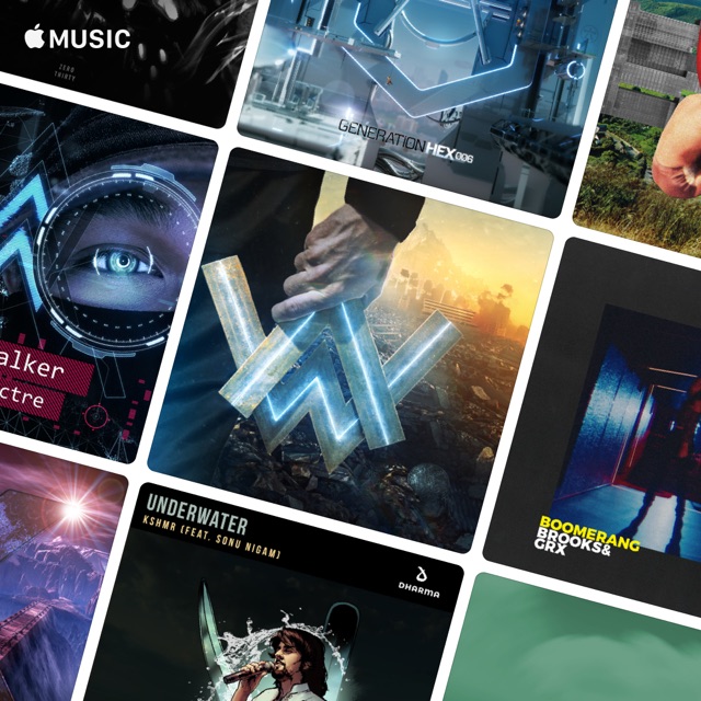 Alan Walker's One Mix Playlist