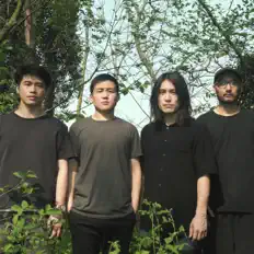 The Tricksを聴いたり、ミュージックビデオを鑑賞したり、経歴やツアー日程などを確認したりしましょう！