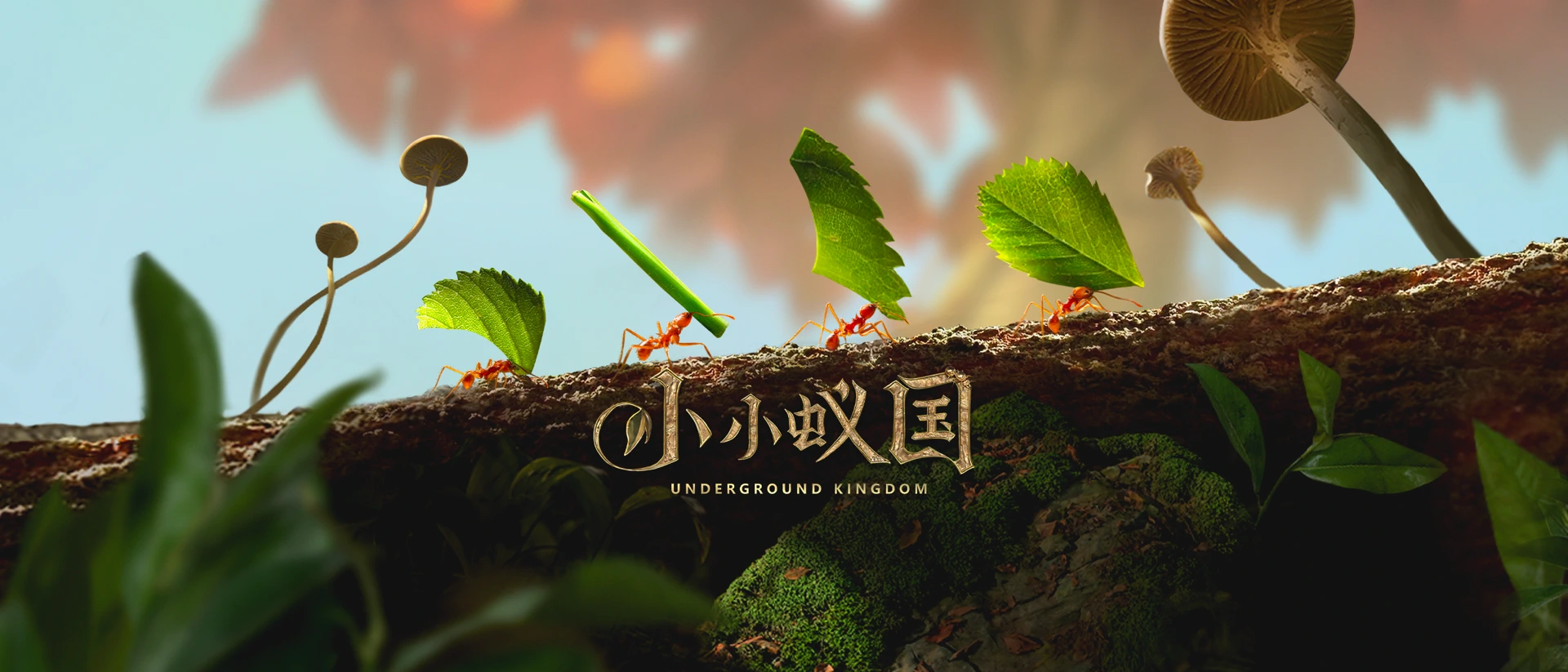小小蚁国 product page header
