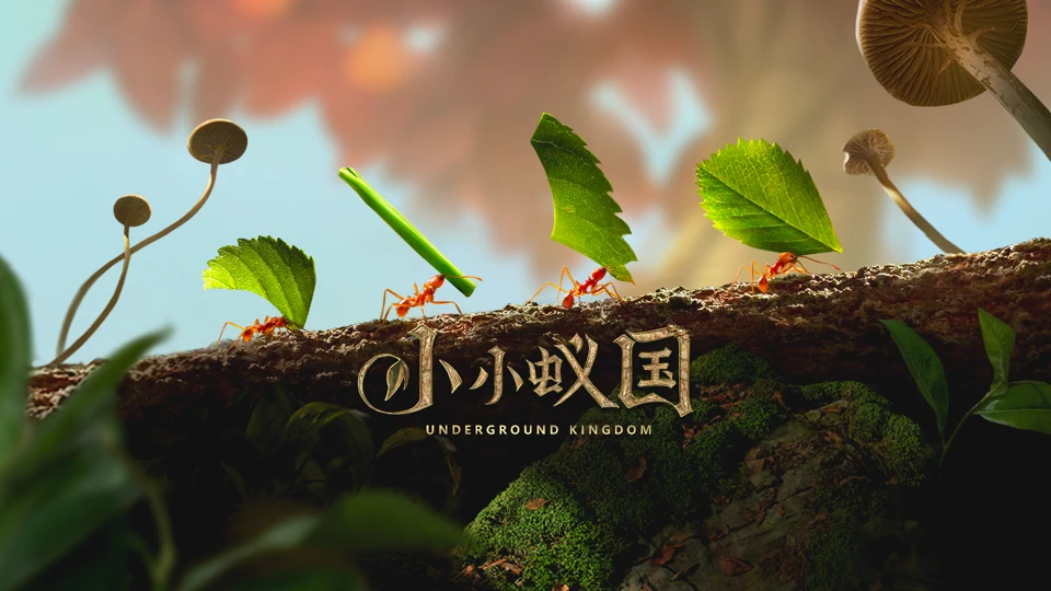 小小蚁国 App Store product page header