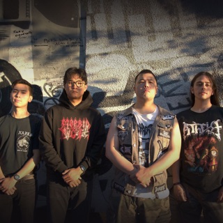 Ripped to Shreds