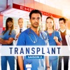 Scars Cicatrices Transplant, Saison 2 (VF)