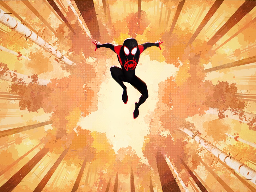 Spider-Man™: Into the Spider-Verse - Apple TV (IN)