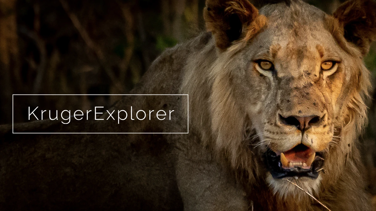 KrugerExplorer App Store product page header