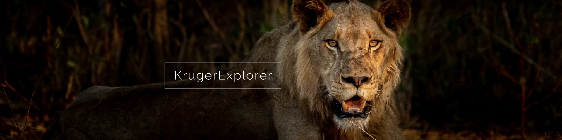 KrugerExplorer product page header