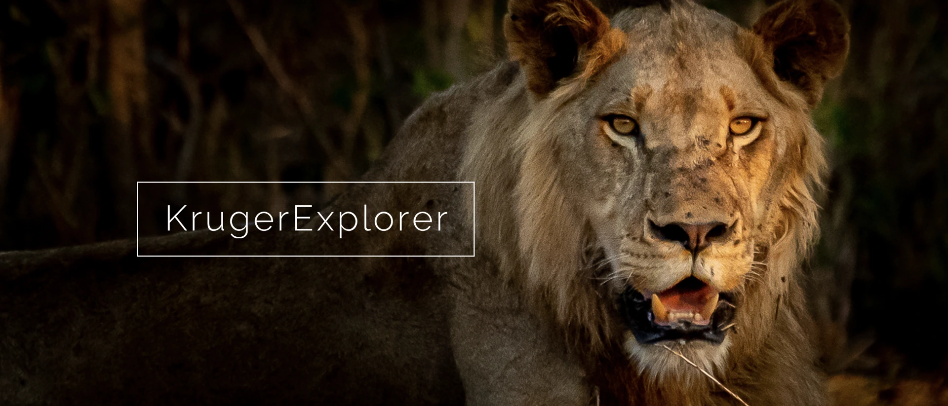 KrugerExplorer product page header