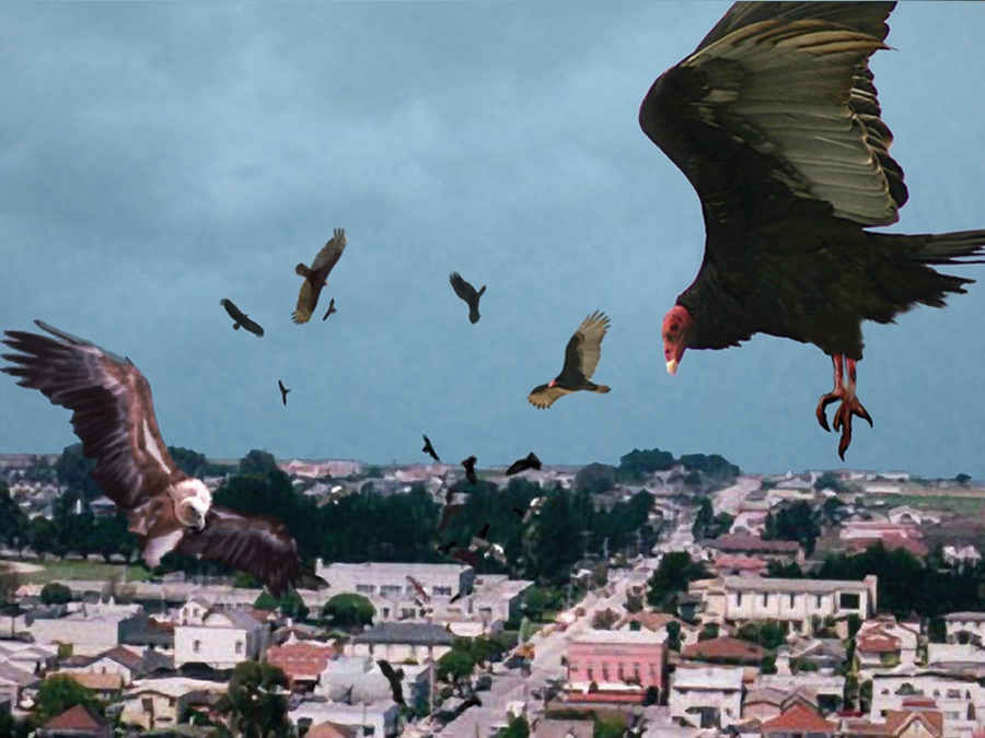 Птицекалипсис. Птицекалипсис: ШОК И трепет (2010). Birdemic: Shock and Terror.