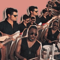 The Fearless Flyers