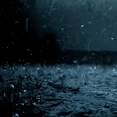 收听 Omelly、观看音乐视频、阅读小传、查看巡演日期等 ！