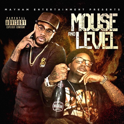 Mouse and Level