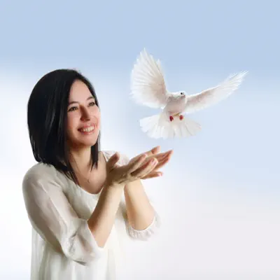 Listen to Seda Bağcan, watch music videos, read bio, see tour dates & more!