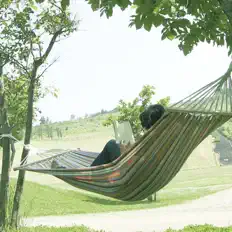Listen to Wellbeing Series, watch music videos, read bio, see tour dates & more!