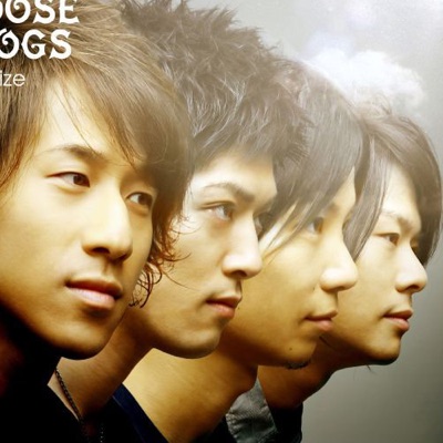 Listen to The Loose Dogs, watch music videos, read bio, see tour dates & more!